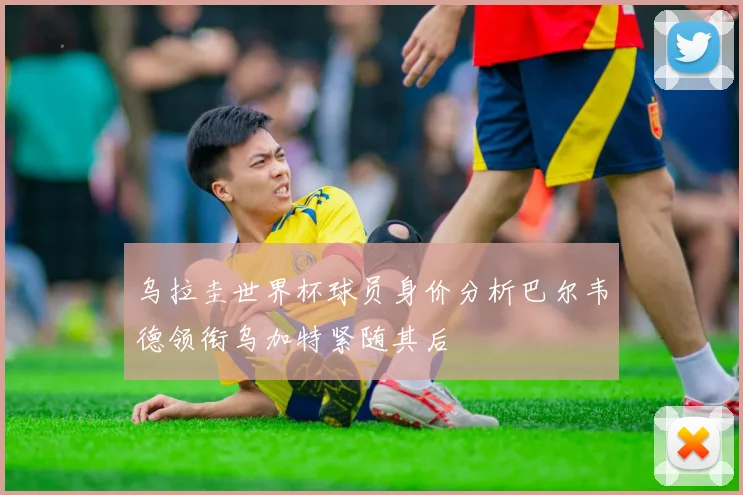 乌拉圭世界杯球员身价分析巴尔韦德领衔乌加特紧随其后