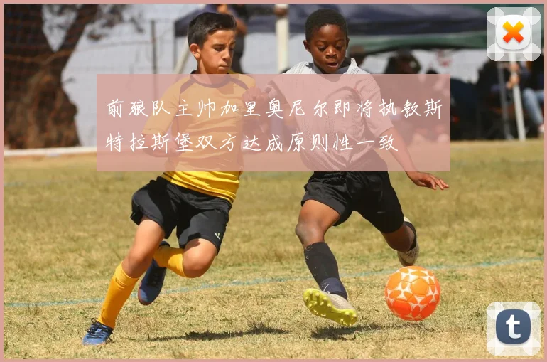 前狼队主帅加里奥尼尔即将执教斯特拉斯堡双方达成原则性一致
