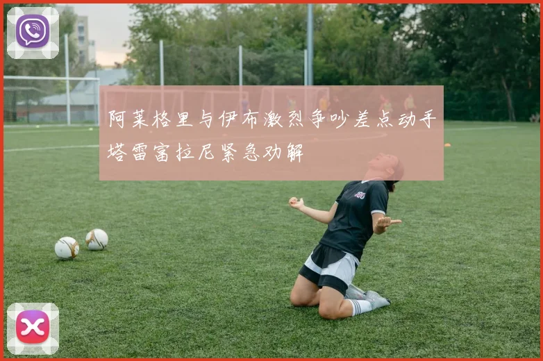 阿莱格里与伊布激烈争吵差点动手塔雷富拉尼紧急劝解