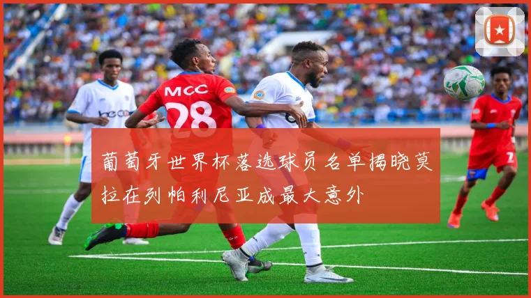 葡萄牙世界杯落选球员名单揭晓莫拉在列帕利尼亚成最大意外
